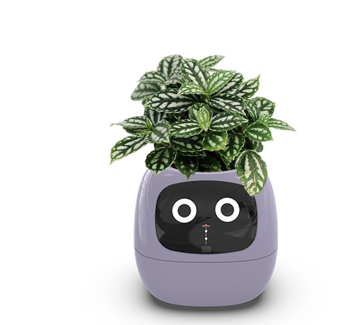 Smart AI Planter